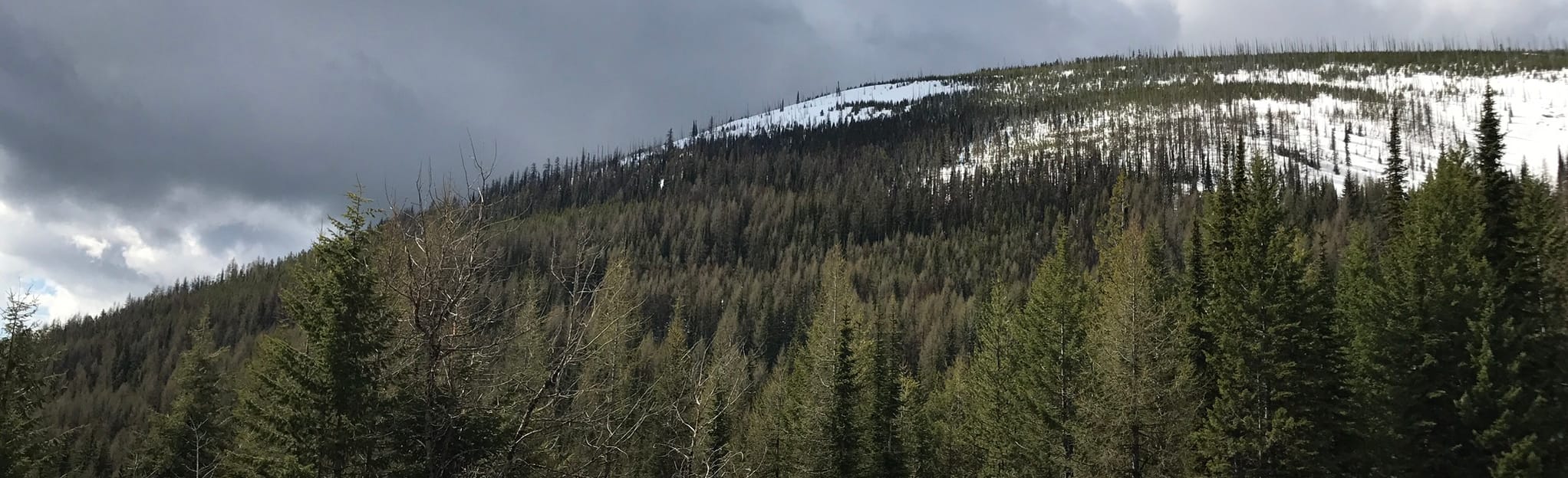 Sherman Pass Scenic Byway, Washington 7 Reviews, Map AllTrails