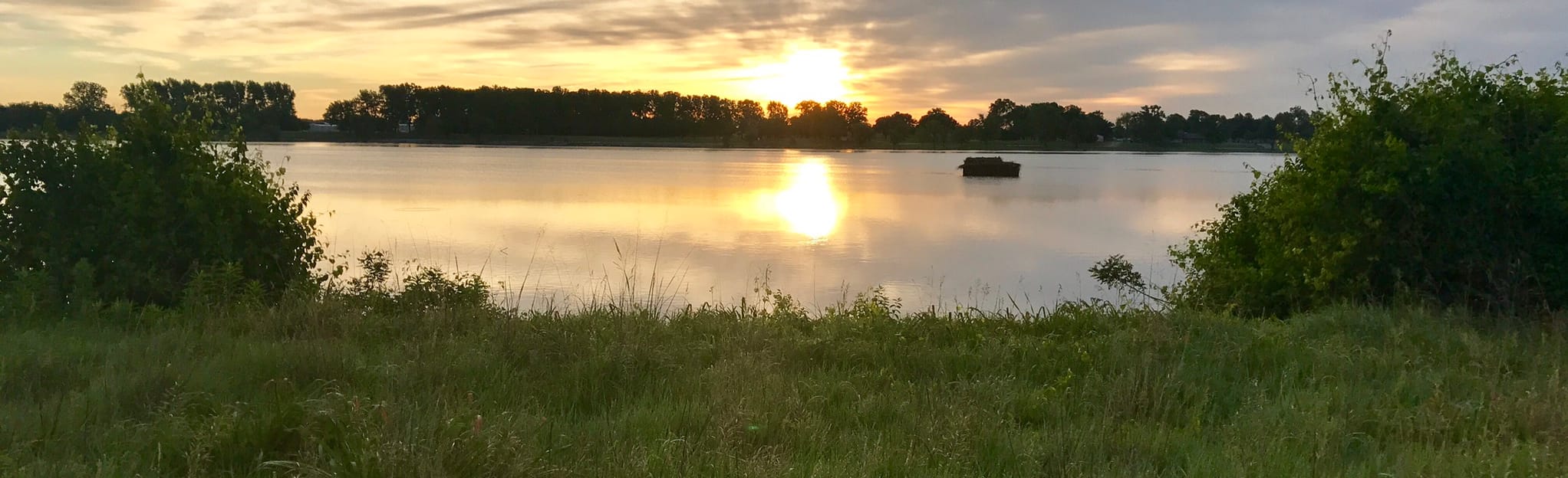 Horseshoe Lake Walker's Island Trail 141 fotos Illinois AllTrails