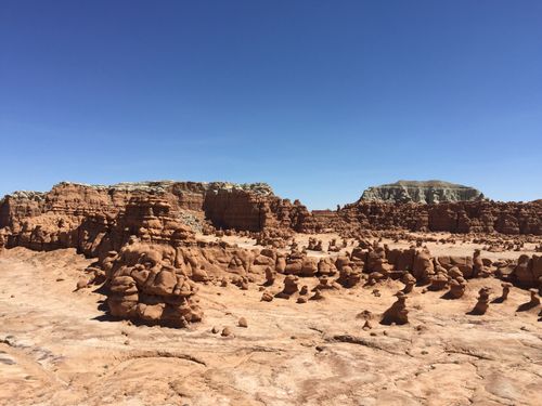 does goblin valley allow dogs