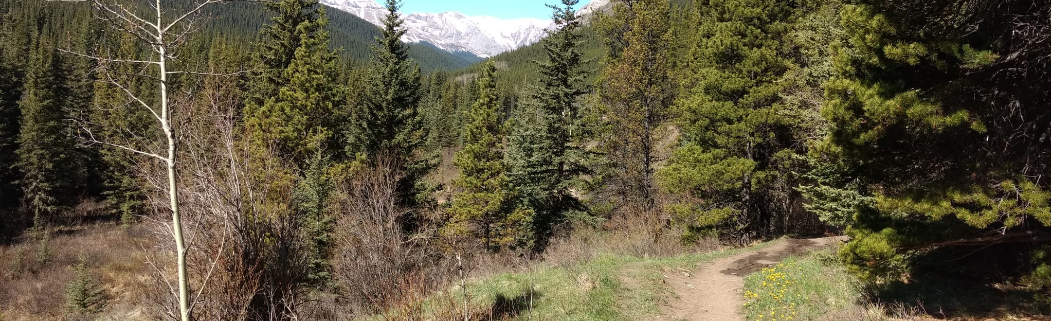 Prairie Mountain, Prairie Creek and Powderface Creek Trail Loop 148