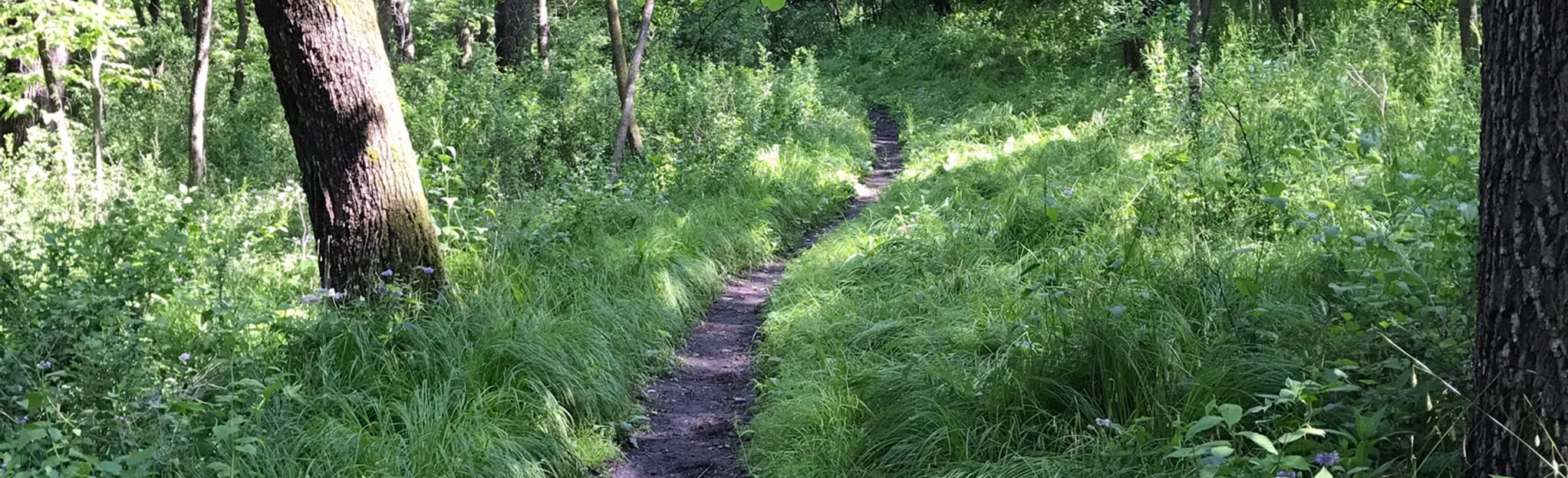 Cottonwood River Trail, Minnesota 78 Reviews, Map AllTrails