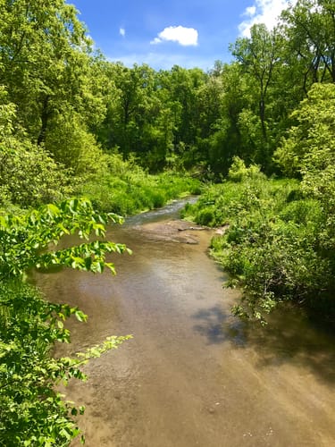 Red Wing Hiking Trails Best 10 Trails And Hikes In Red Wing | Alltrails