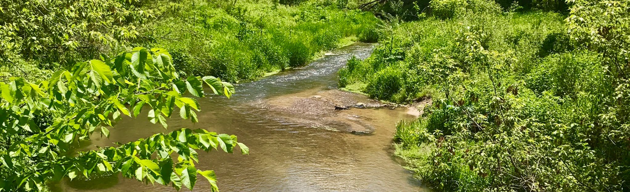 Goodhue Pioneer Trail Red Wing to Hay Creek, Minnesota 26 Reviews