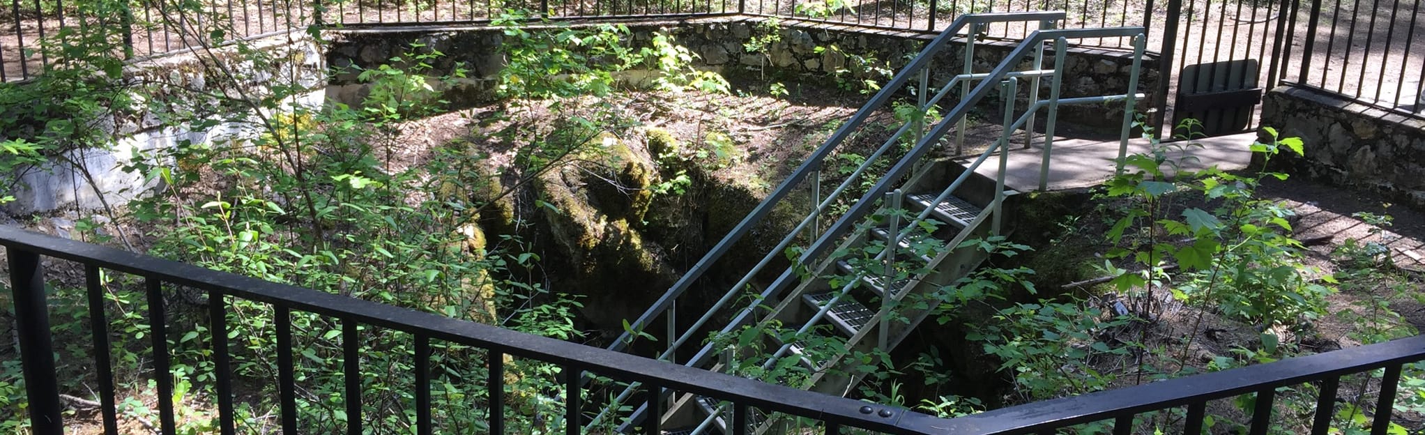 Gardner Cave Trail 55 foto's Washington AllTrails