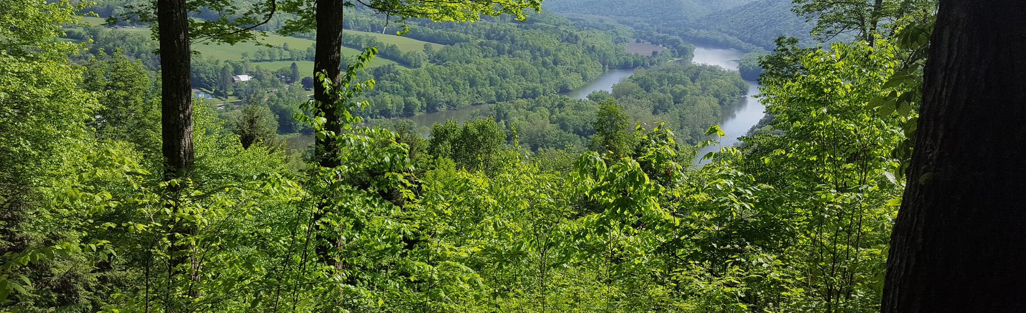 Tidioute Overlook Trail, Pennsylvania 60 Reviews, Map AllTrails
