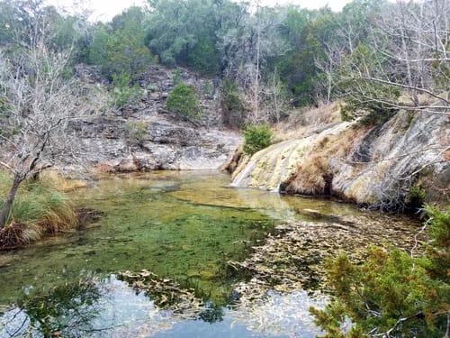 are dogs allowed in colorado bend state park