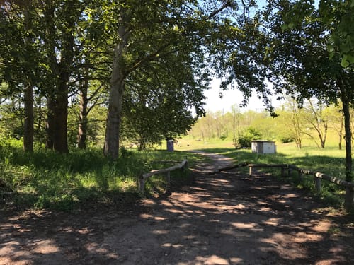 Paddeltour: Kratzeburg Neustrelitz