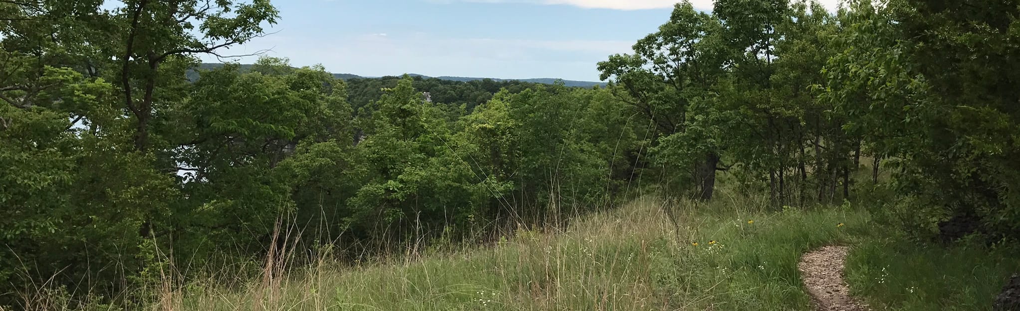 Tonka Quarry Trail Green Loop, Missouri 548 Reviews, Map AllTrails