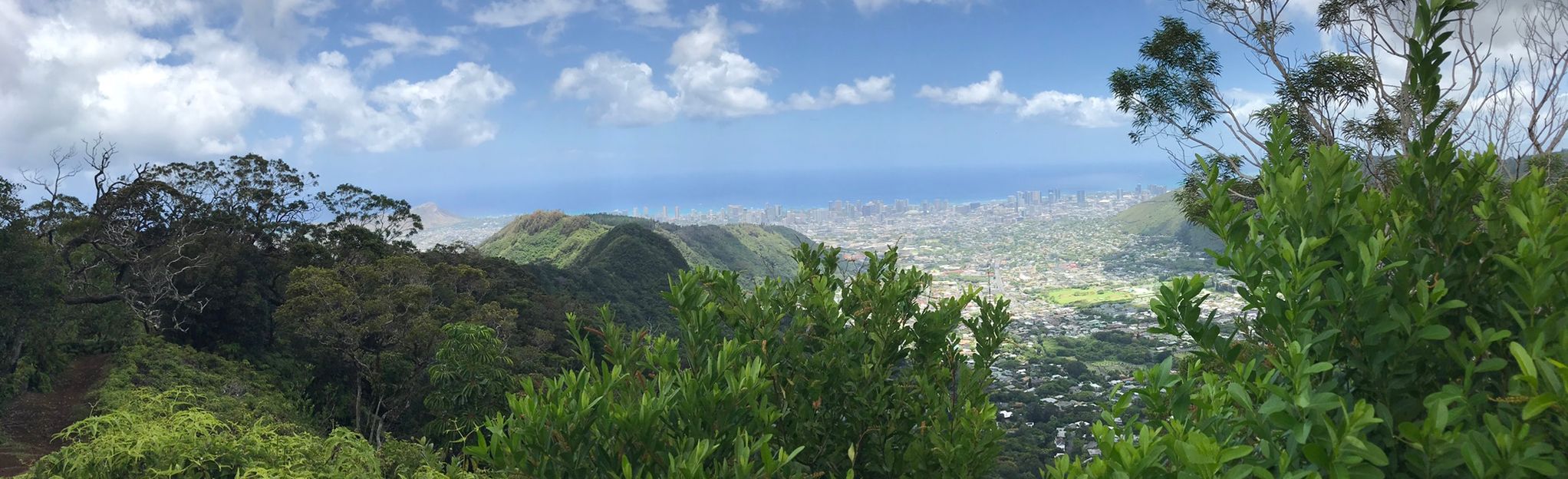 Escape to the Clouds: Your Guide to Waʻahila Ridge State Recreation Area