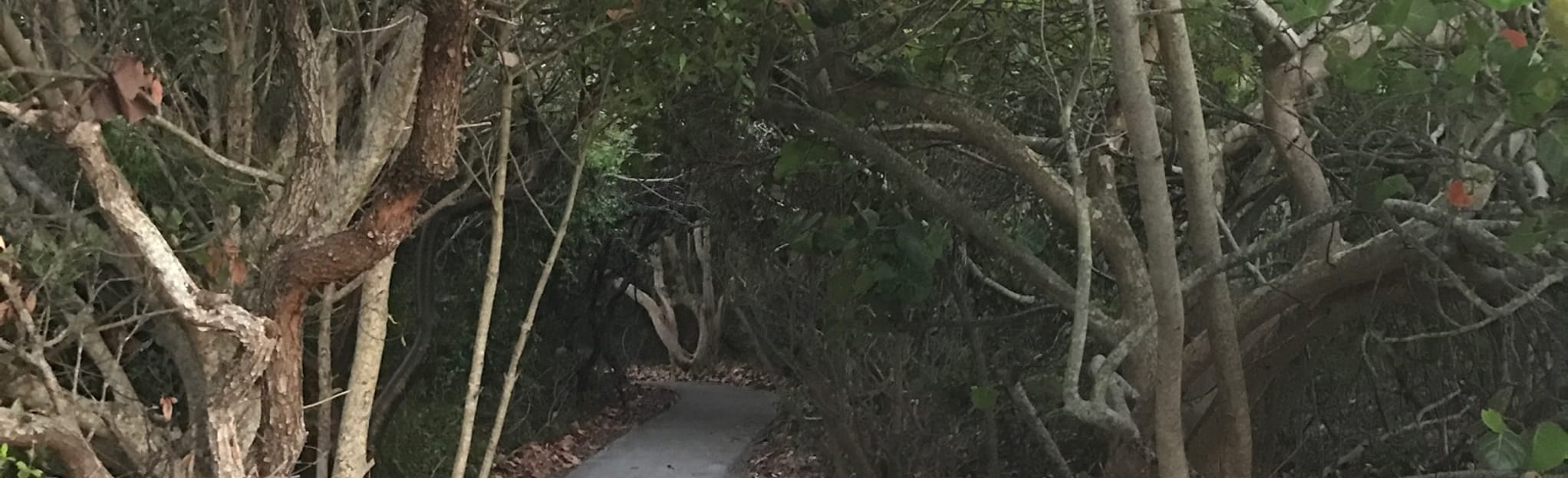 Juno Dunes Oceanfront Florida - EyJidWNrZXQiOiJhc3NldHMuYWxsdHJhaWxzLmNvbSIsImtleSI6InVwbG9hZHMvcGhvdG8vaW1hZ2UvMTkyMzQzNjIvNTE2NTgwYThiOWMxNmZmMjk4MTRhZjM5MTNiYWVmMzQuanBnIiwiZWRpdHMiOnsidG9Gb3JtYXQiOiJqcGVnIiwicmVzaXplIjp7IndpZHRoIjoyMDQ0LCJoZWlnaHQiOjYyNCwiZml0IjoiY292ZXIifSwicm90YXRlIjpudWxsLCJqcGVnIjp7InRyZWxsaXNRdWFudGlzYXRpb24iOnRydWUsIm92ZXJzaG9vdERlcmluZ2luZyI6dHJ1ZSwib3B0aW1pc2VTY2FucyI6dHJ1ZSwicXVhbnRpc2F0aW9uVGFibGUiOjN9fX0=