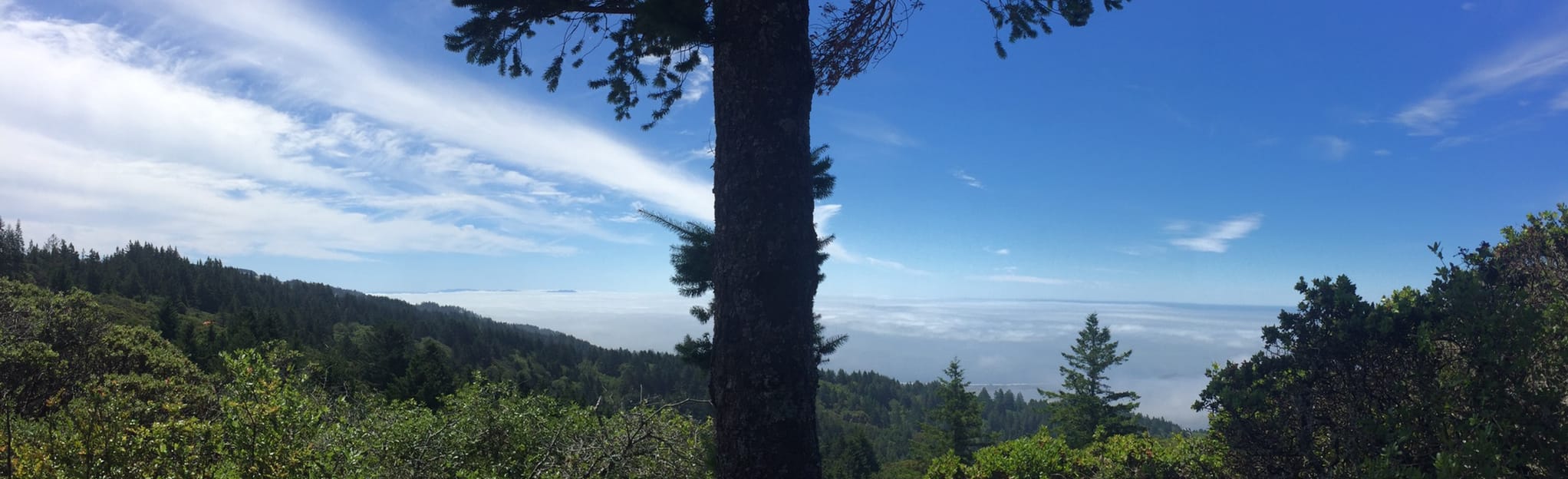 Bolinas Ridge Trail to Kent Lake from BolinasFairfax Road, California