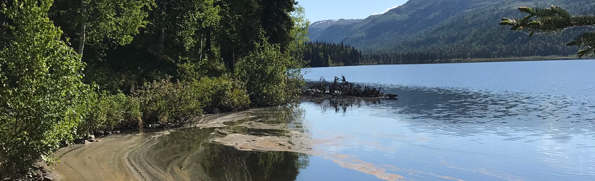 Byers Lake Loop 115 Fotos Alaska AllTrails