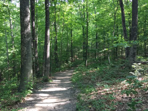 Hoosier national forest outlet trails