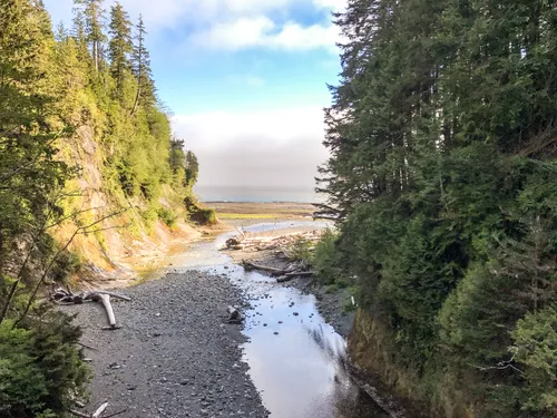 10 Best Trails and Hikes in Port Renfrew | AllTrails