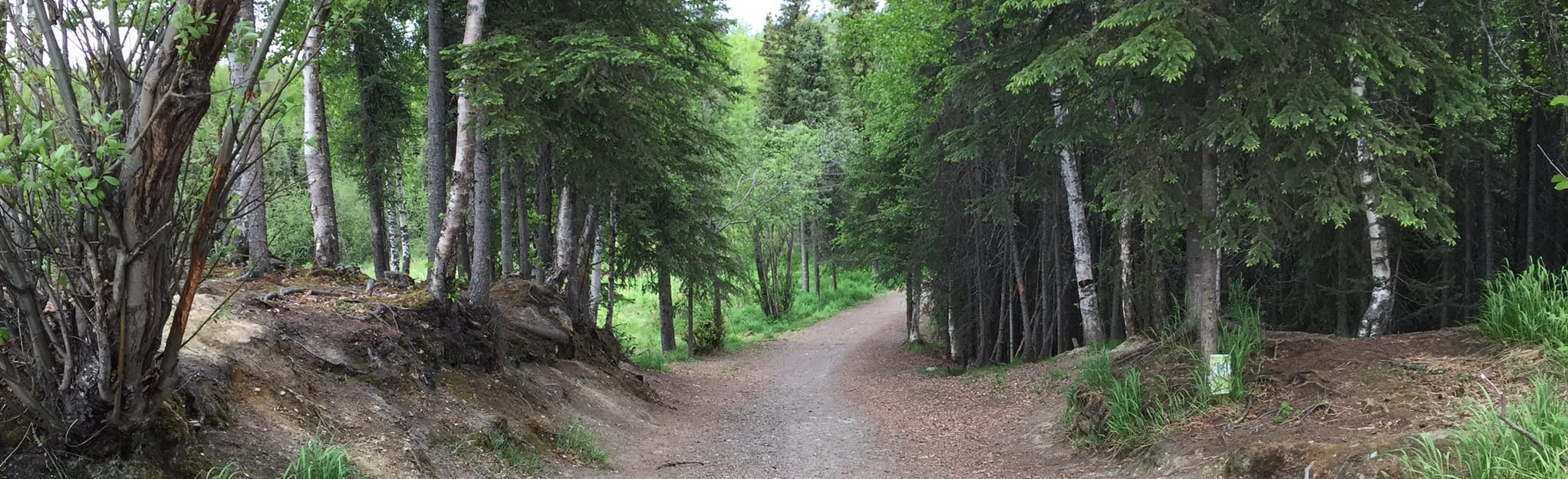 Homestead Trail to Tour of Anchorage Trail 269 Reviews, Map Alaska