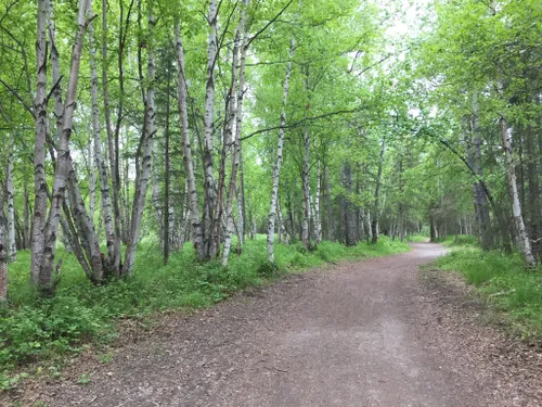 Best 10 Hikes And Trails In Far North Bicentennial Park | AllTrails