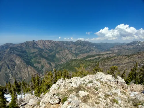 10 Best Hikes and Trails in Twin Peaks Wilderness | AllTrails