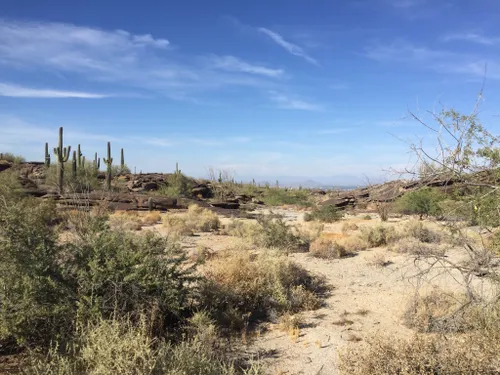 10 Best Trails and Hikes in Phoenix | AllTrails