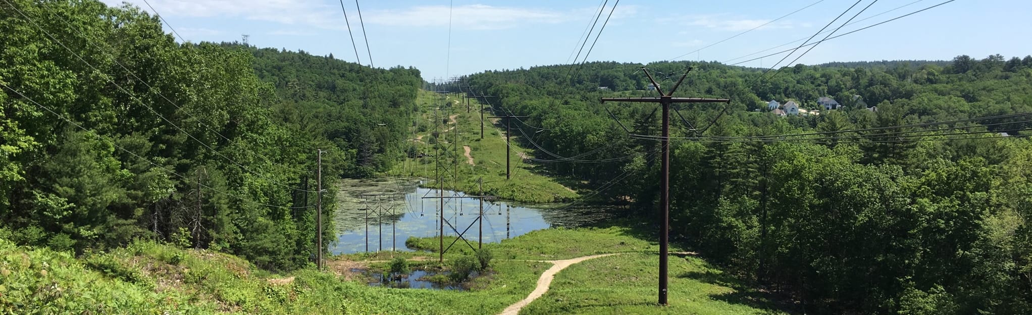 Musquash Pond Trail, New Hampshire 573 Reviews, Map AllTrails