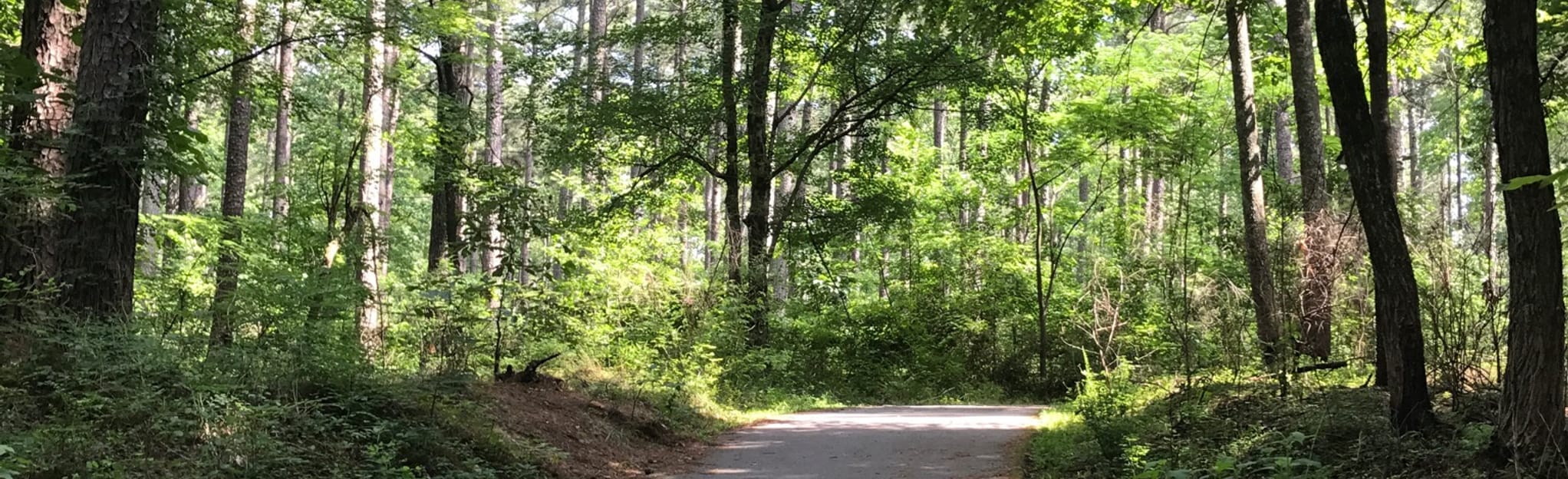 Bicentennial Greenway Jamestown Burnt Poplar 75 Reviews, Map