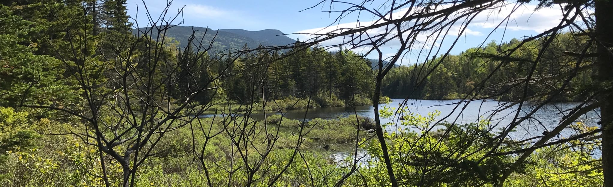 Flat Mountain Loop, New Hampshire 48 Reviews, Map AllTrails