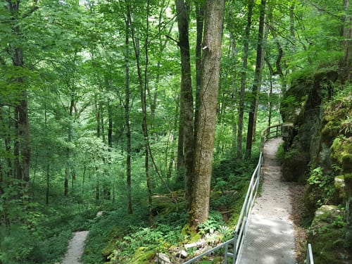 Mammoth Cave Hiking Trails Best 10 Trails In Mammoth Cave National Park | Alltrails