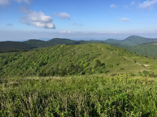 Best 10 Hikes And Trails In Pisgah National Forest | AllTrails