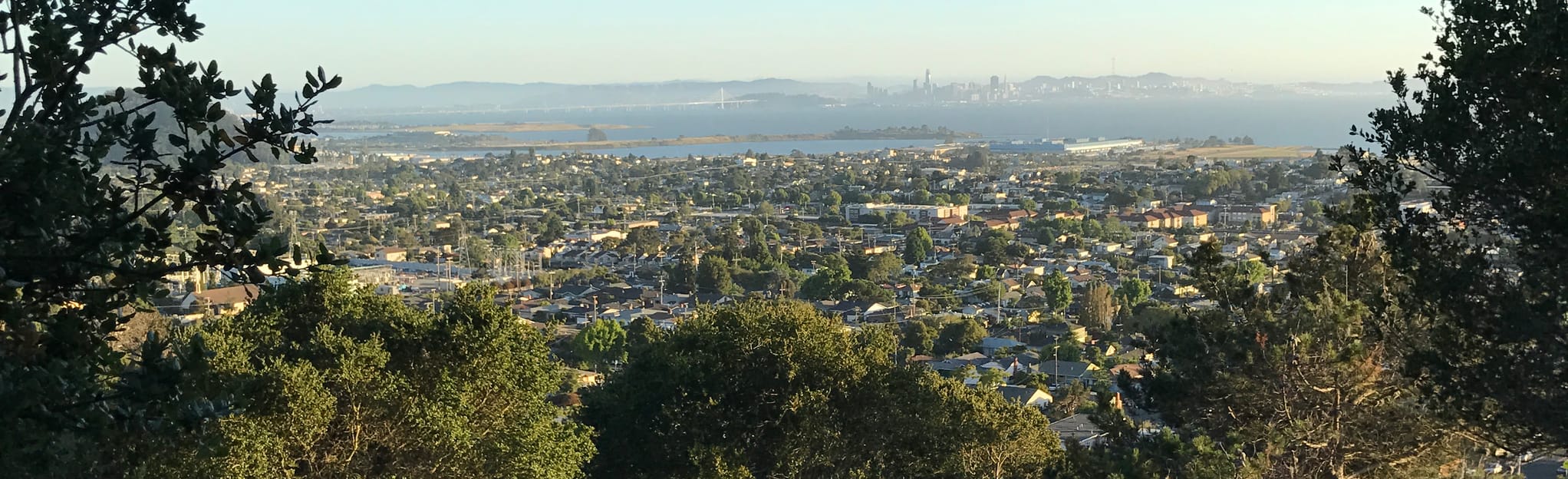 El Cerrito Foundation Memorial Grove Trail, California 356 Reviews