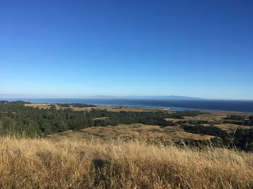 10 Best Hikes and Trails in Wilder - EyJidWNrZXQiOiJhc3NldHMuYWxsdHJhaWxzLmNvbSIsImtleSI6InVwbG9hZHMvcGhvdG8vaW1hZ2UvMTkyODg5NzEvNzI5MTkxM2Q1ODM5NzA4NzMzODFhYTk4ZDFjYmIzNzcuanBnIiwiZWRpdHMiOnsidG9Gb3JtYXQiOiJ3ZWJwIiwicmVzaXplIjp7IndpZHRoIjo1MDAsImhlaWdodCI6NTAwLCJmaXQiOiJpbnNpZGUifSwicm90YXRlIjpudWxsLCJqcGVnIjp7InRyZWxsaXNRdWFudGlzYXRpb24iOnRydWUsIm92ZXJzaG9vdERlcmluZ2luZyI6dHJ1ZSwib3B0aW1pc2VTY2FucyI6dHJ1ZSwicXVhbnRpc2F0aW9uVGFibGUiOjN9fX0=