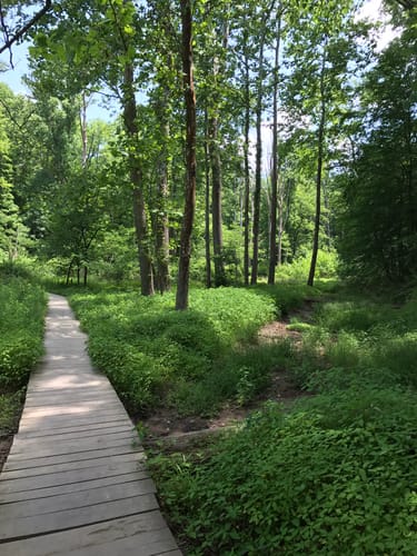 best hiking near nashville indiana