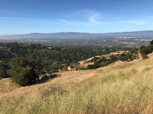 10 Best Hikes and Trails in Alum Rock Park | AllTrails