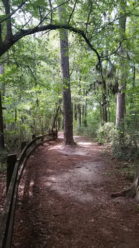 10 Best Trails and Hikes in Gainesville | AllTrails