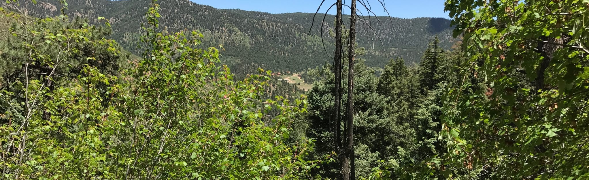 Green Mountain Falls Overlook via Catamount Trail 1.167 foto's