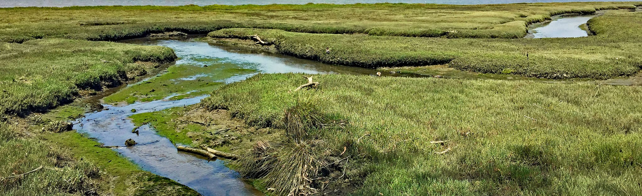 Sweet Springs Nature Preserve Loop, California 112 Reviews, Map