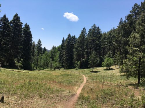 Mountain Biking The Winsor Trail Santa Fe, NM