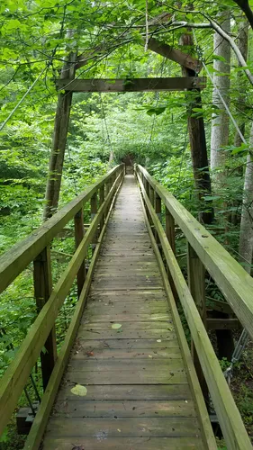 Hiking Trails - Elachee Nature Science Center