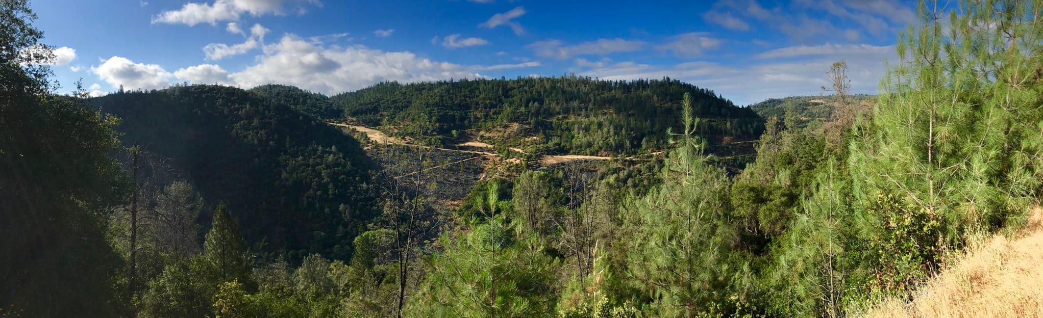 Robie Point Trail California AllTrails