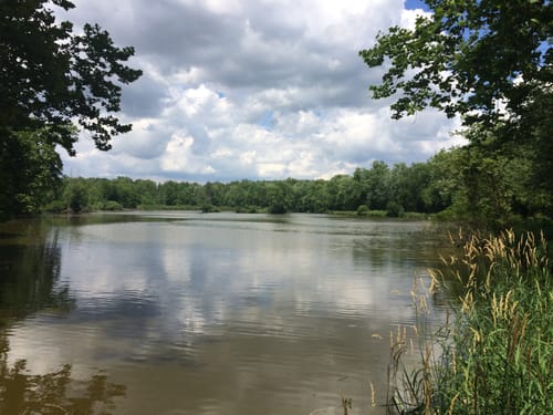 Best Hikes and Trails in Potawatomi Wildlife Park | AllTrails