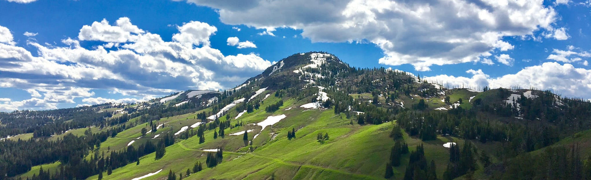 Seven Mile Hole to Mount Washburn Spur 915 fotos Montana AllTrails