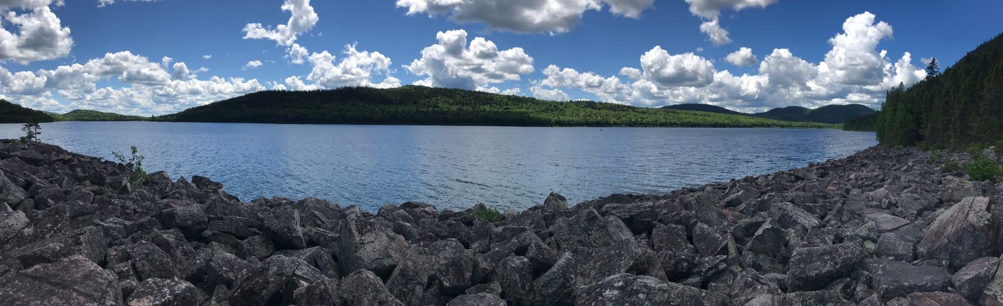 Deboullie Mountain and Black Mountain Loop 46 foto Maine AllTrails