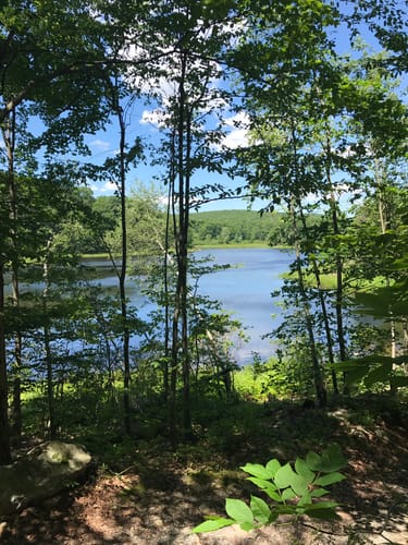 Fahnestock State Park Hiking Best 10 Trails In Clarence Fahnestock State Park | Alltrails