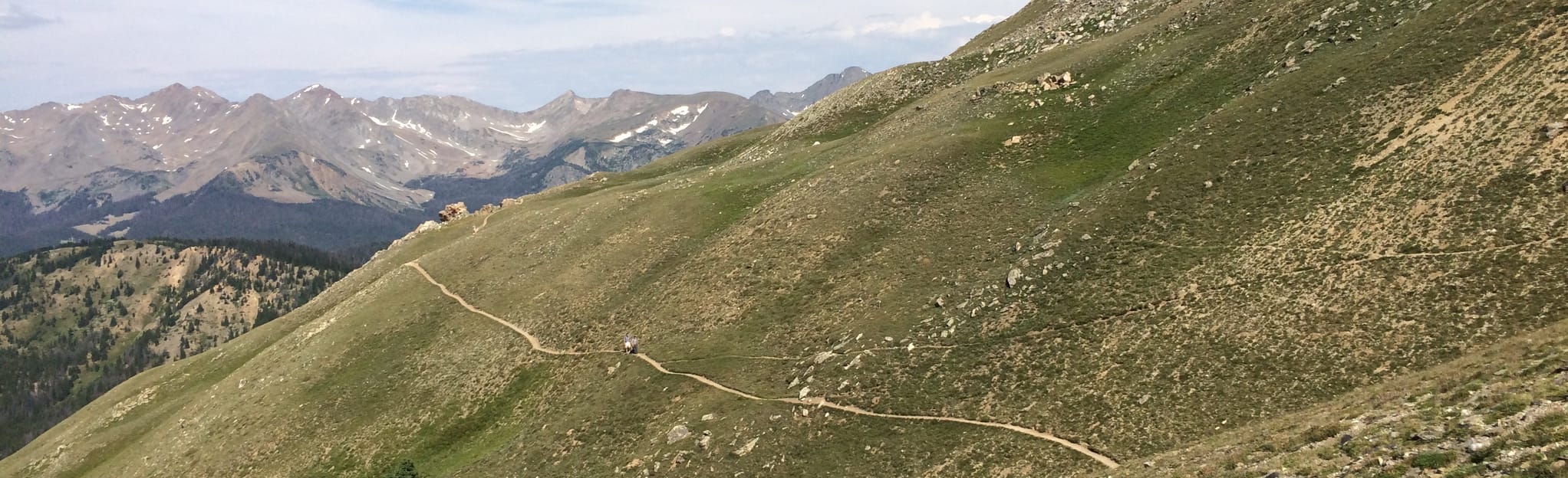 Peak 12150 via Ute and Mount Ida Trail 239 Reviews, Map Colorado