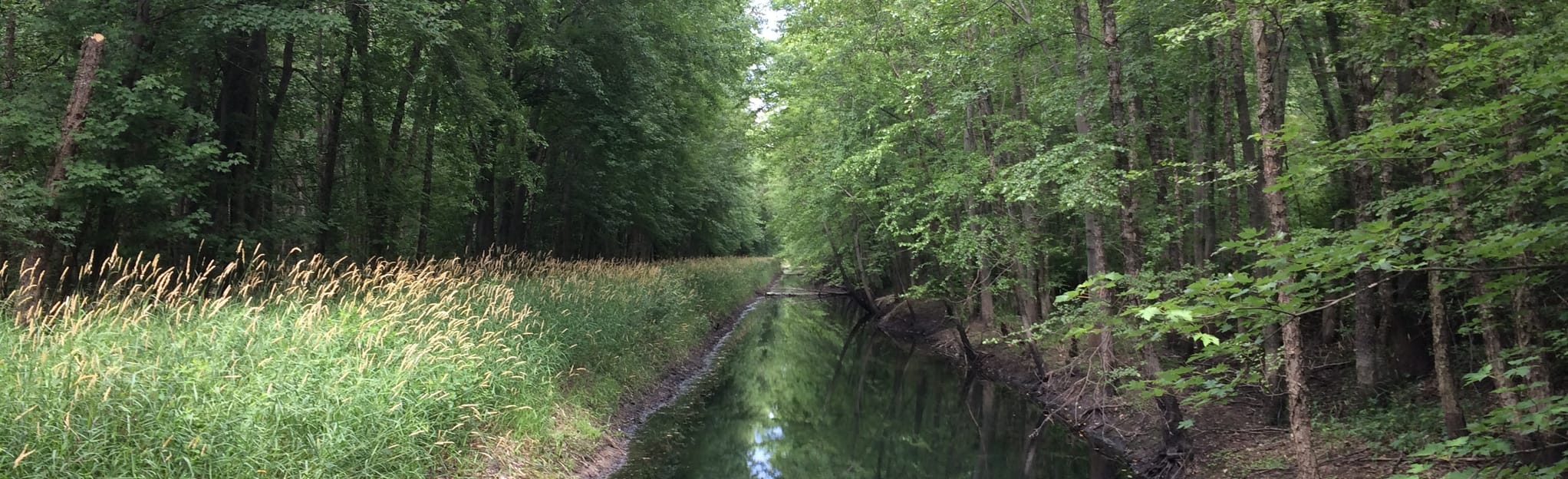 Grand Kankakee Marsh West, Indiana 18 Reviews, Map AllTrails