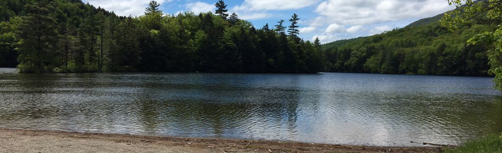 are dogs allowed at emerald lake park