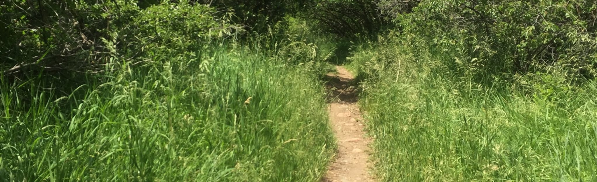 Hidden Valley and Lion’s Lair [PRIVATE PROPERTY] 16 Reviews, Map