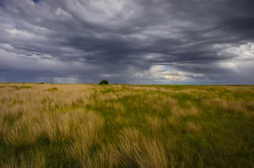 Best 10 Hikes and Trails in Theodore Roosevelt National Park | AllTrails