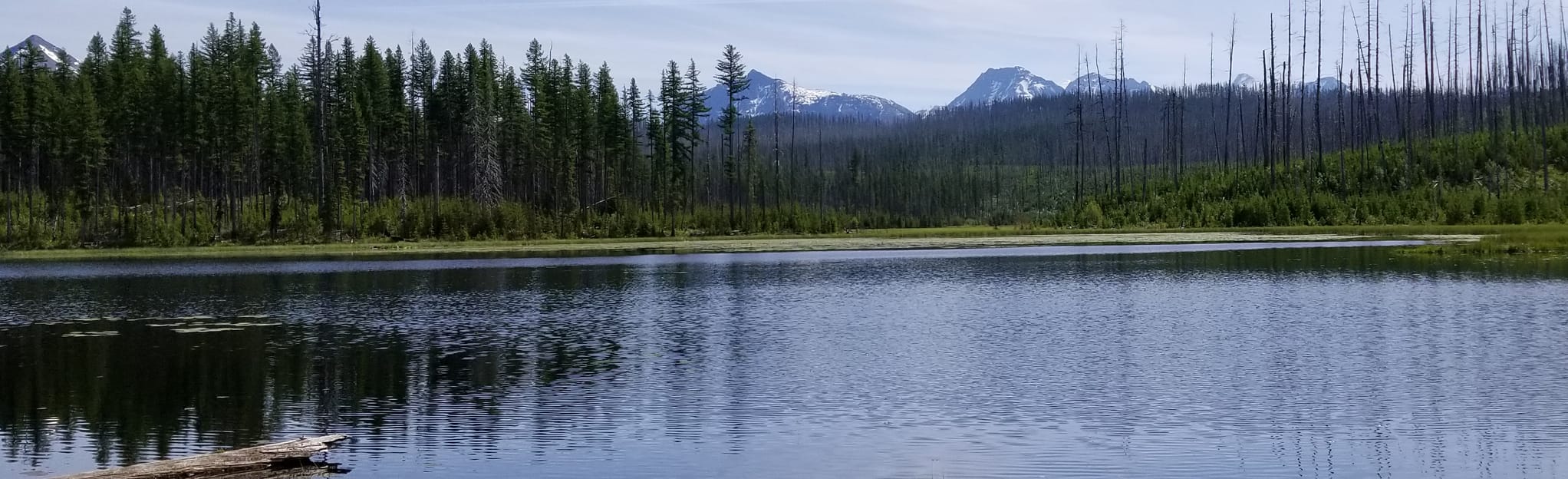 Howe Lake Trail: 121 Reviews, 66 Photos, Map - Montana | AllTrails