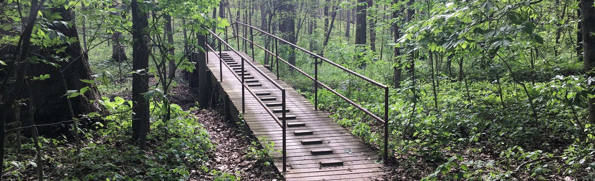 Squirrel Creek Trail 118 Reviews, Map Illinois AllTrails