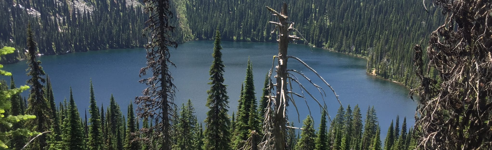 Hidden Lake and Red Top Mountain, Idaho - 38 Reviews, Map | AllTrails