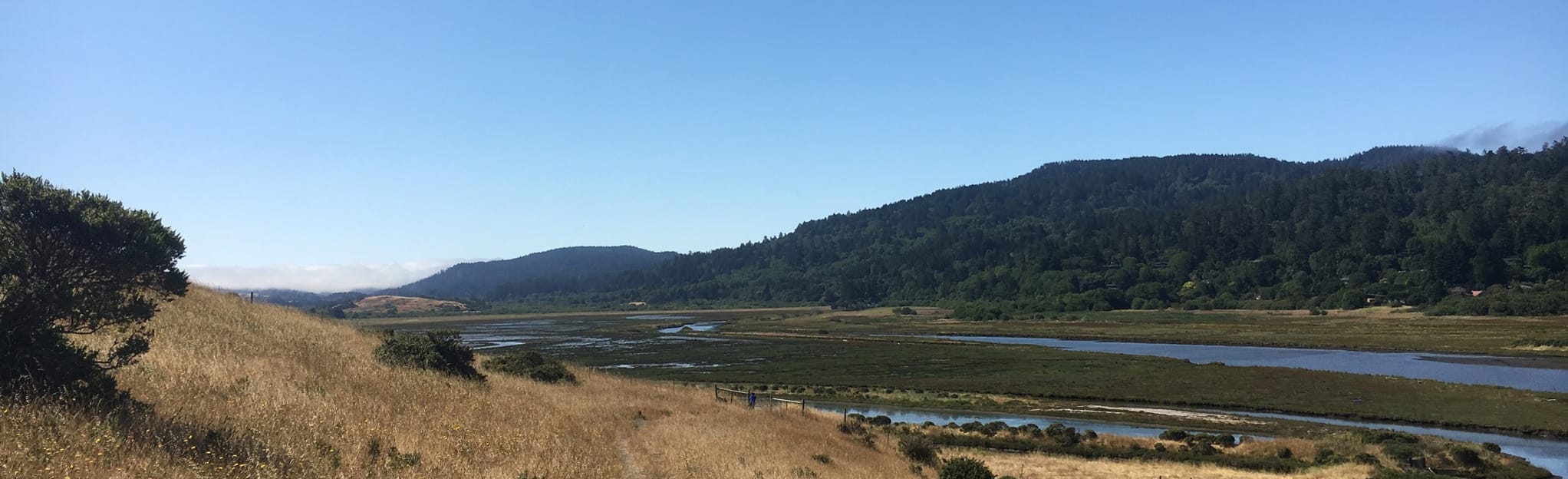 Tomales Bay Trail, California 330 Reviews, Map AllTrails